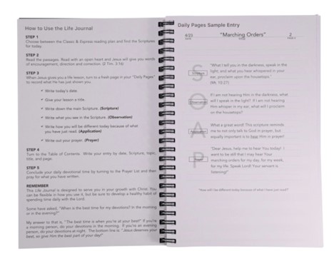 Life Journal how to use pages